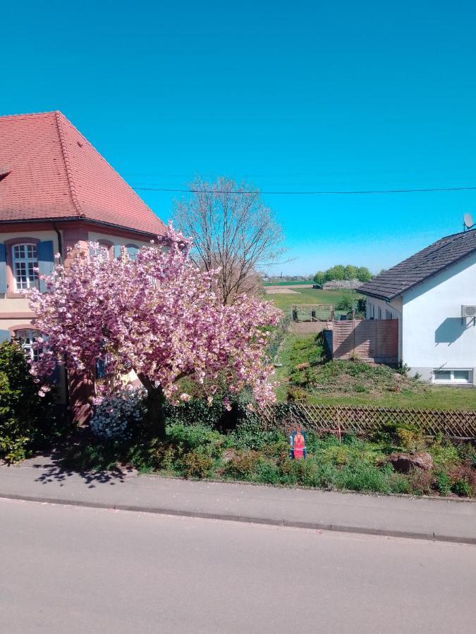 Gaestehaus Brunhilde Wittenweier 외부 사진
